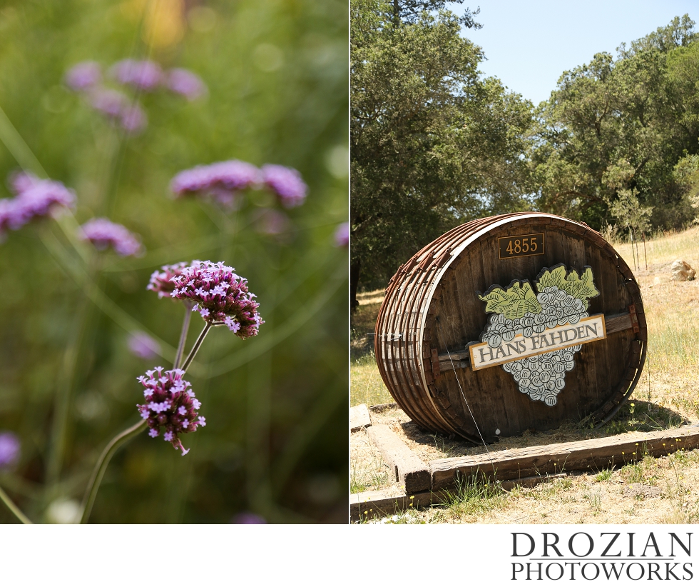 Hans-Fahden-Vineyards-Wedding-004