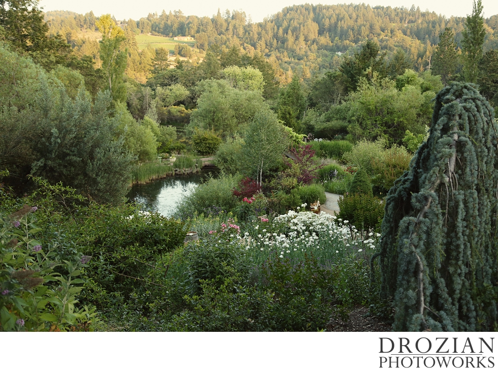 Hans-Fahden-Vineyards-Wedding-037